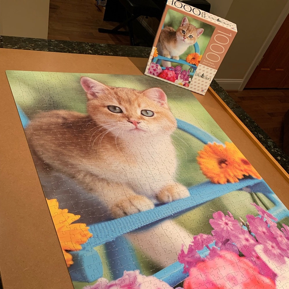 1000 pc. Kitten Puzzle